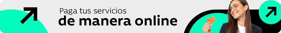 servicios-opnline-2